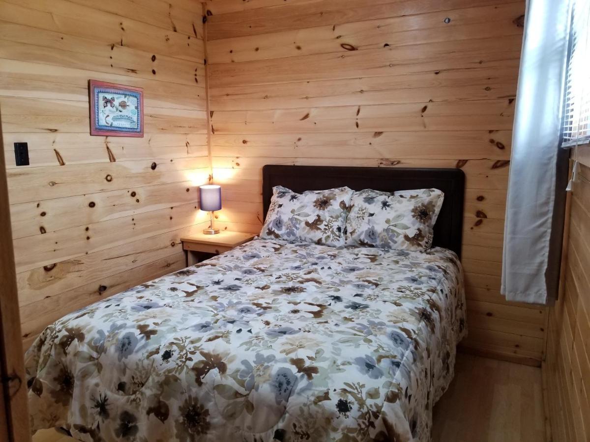 蓝云杉小木屋旅舍 Hampton 外观 照片