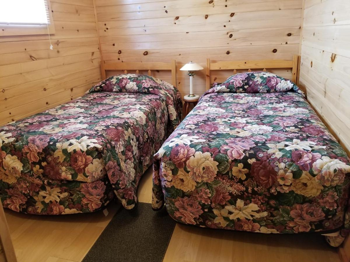 蓝云杉小木屋旅舍 Hampton 外观 照片