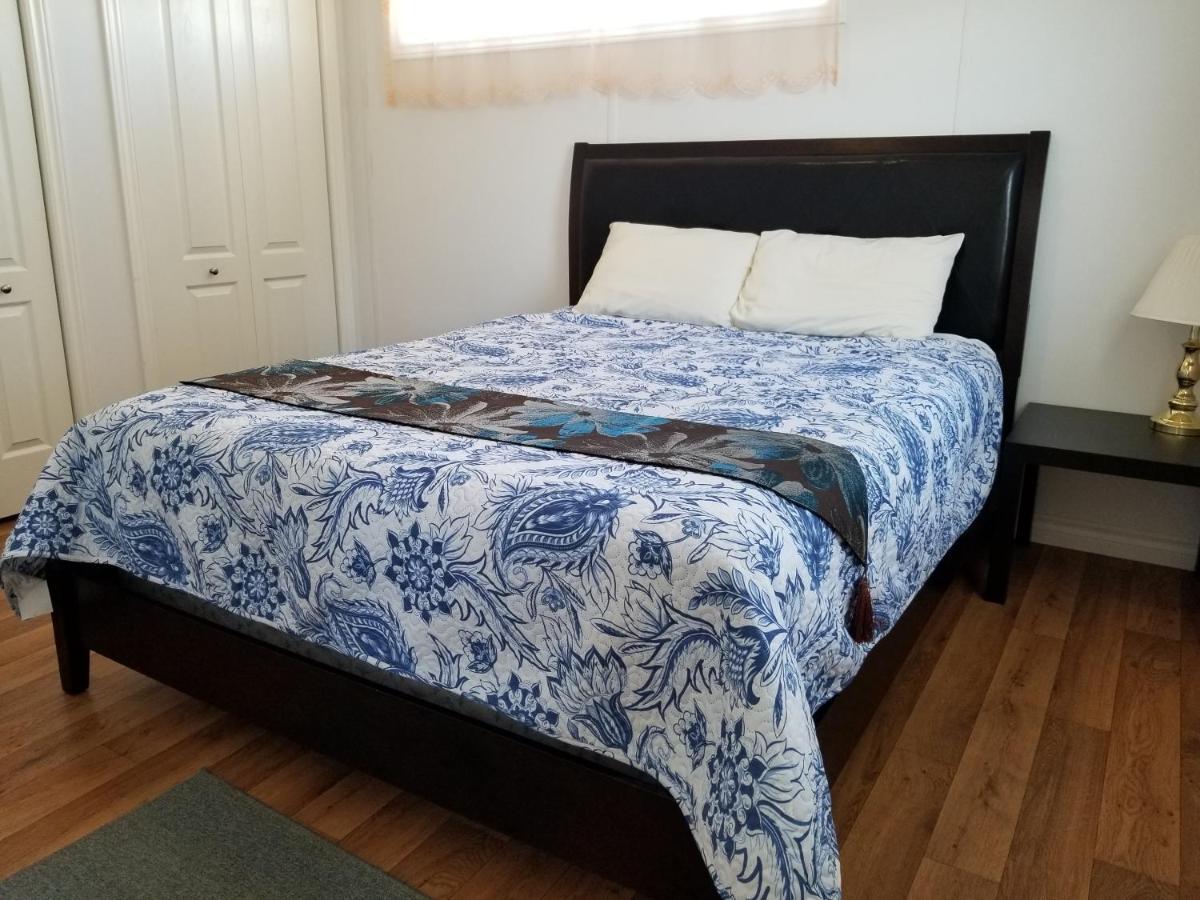 蓝云杉小木屋旅舍 Hampton 外观 照片