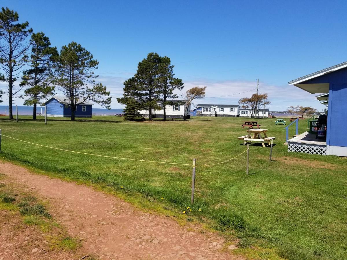 蓝云杉小木屋旅舍 Hampton 外观 照片