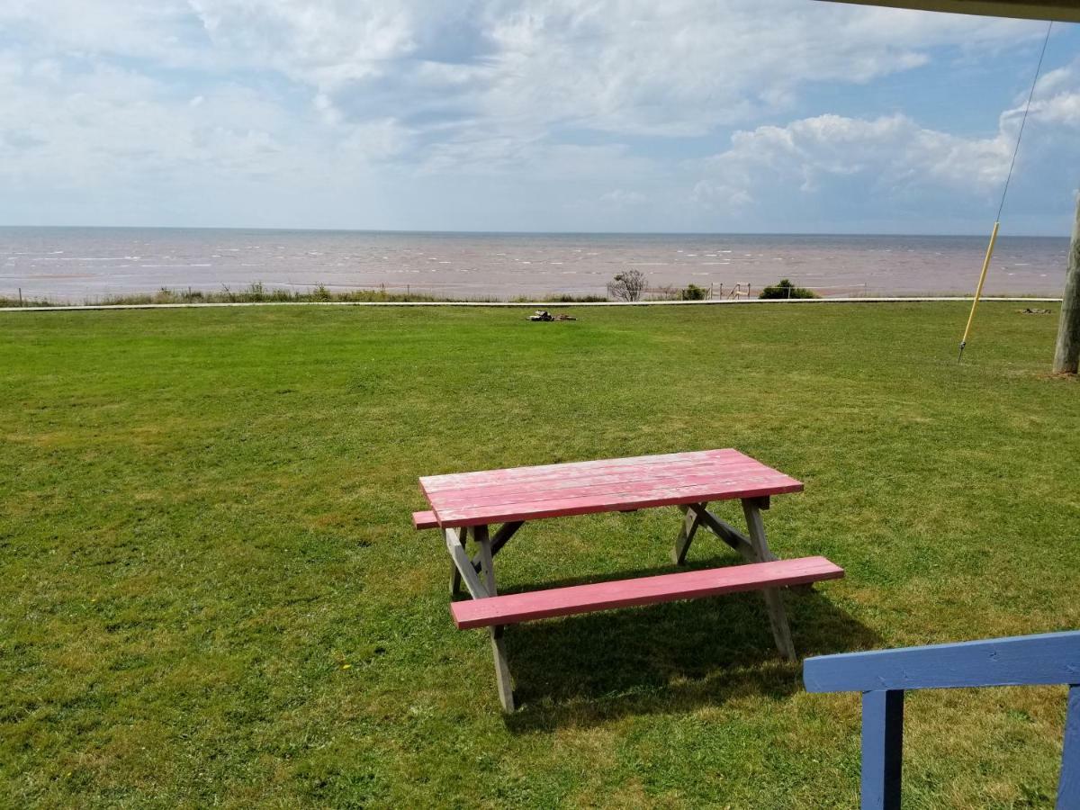 蓝云杉小木屋旅舍 Hampton 外观 照片