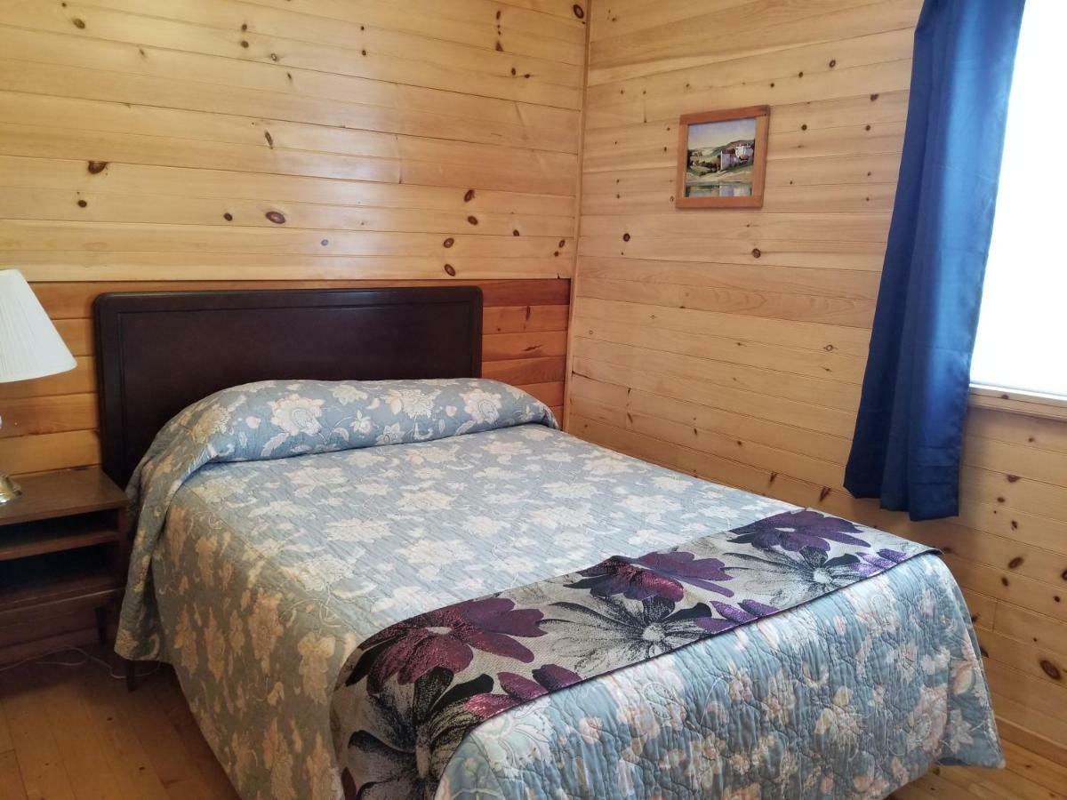 蓝云杉小木屋旅舍 Hampton 外观 照片